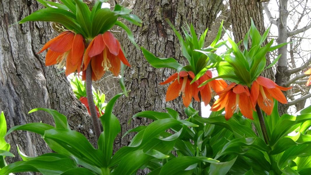 Bu insanlar neye bakıyor? Gece-gündüz nöbet tutuyorlar, ilk kez görenler şaştı kaldı! 27